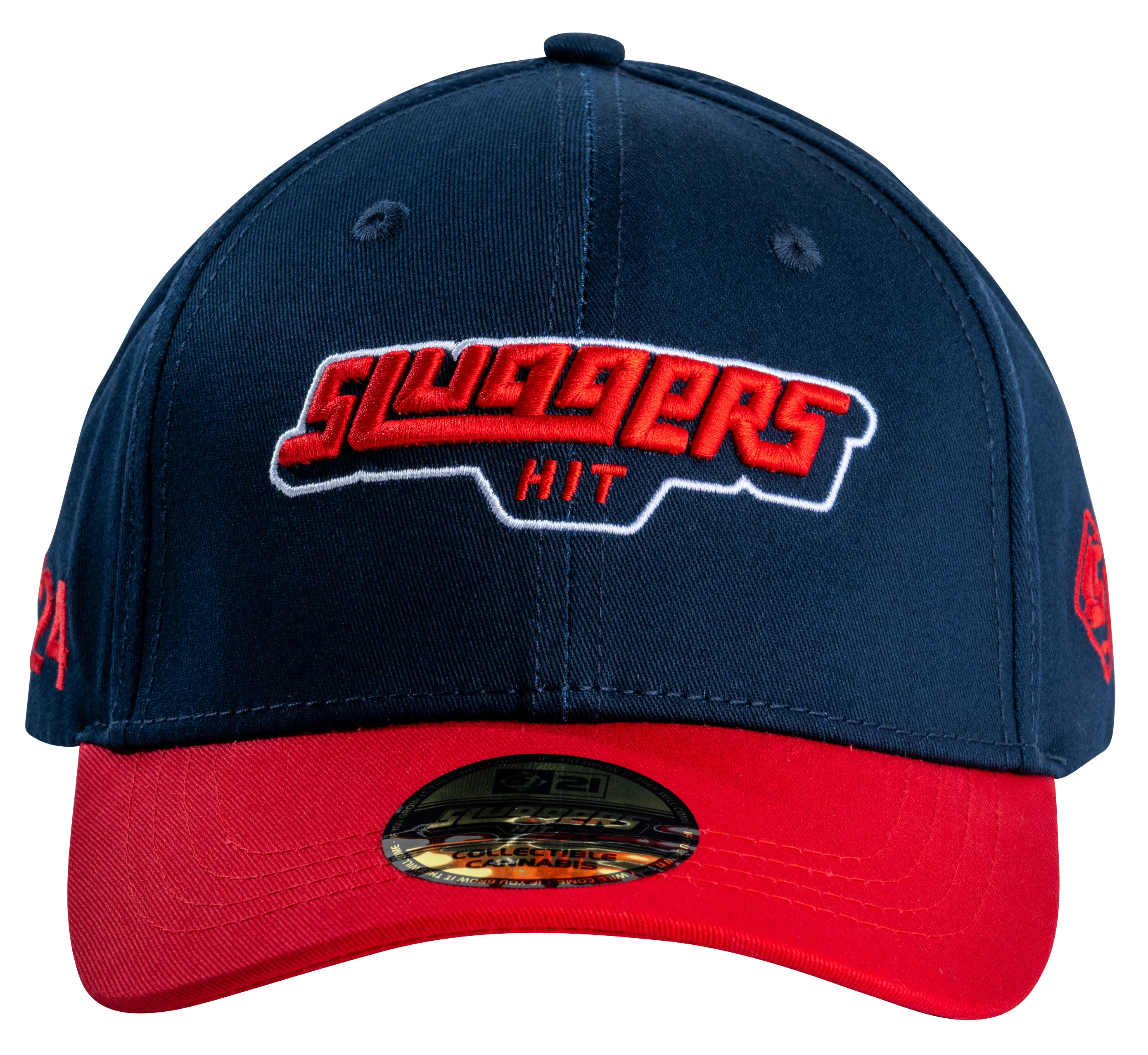 Navy/Red Logo Hat